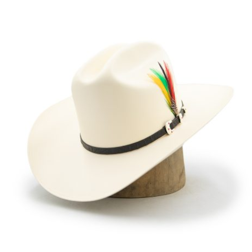 Stetson 5000x sales