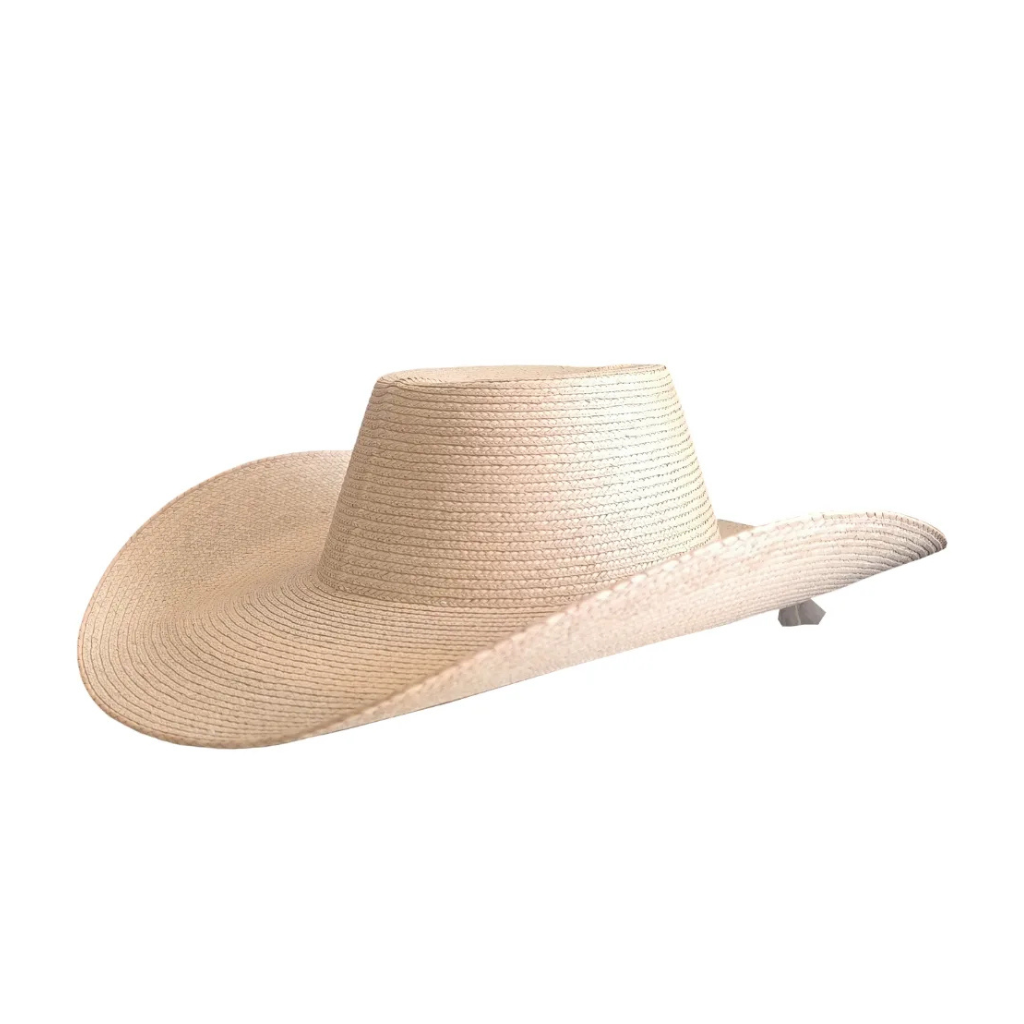 Sombrero Huetameño Calentano Tlapehuala Astilla Michoacano Extra Fino