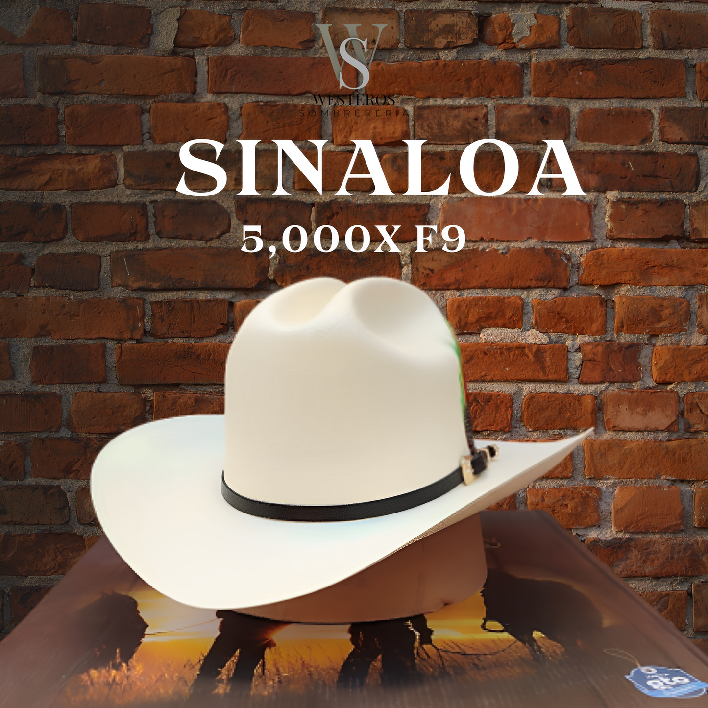 5000X SINALOA TOQUILLA NEGRA