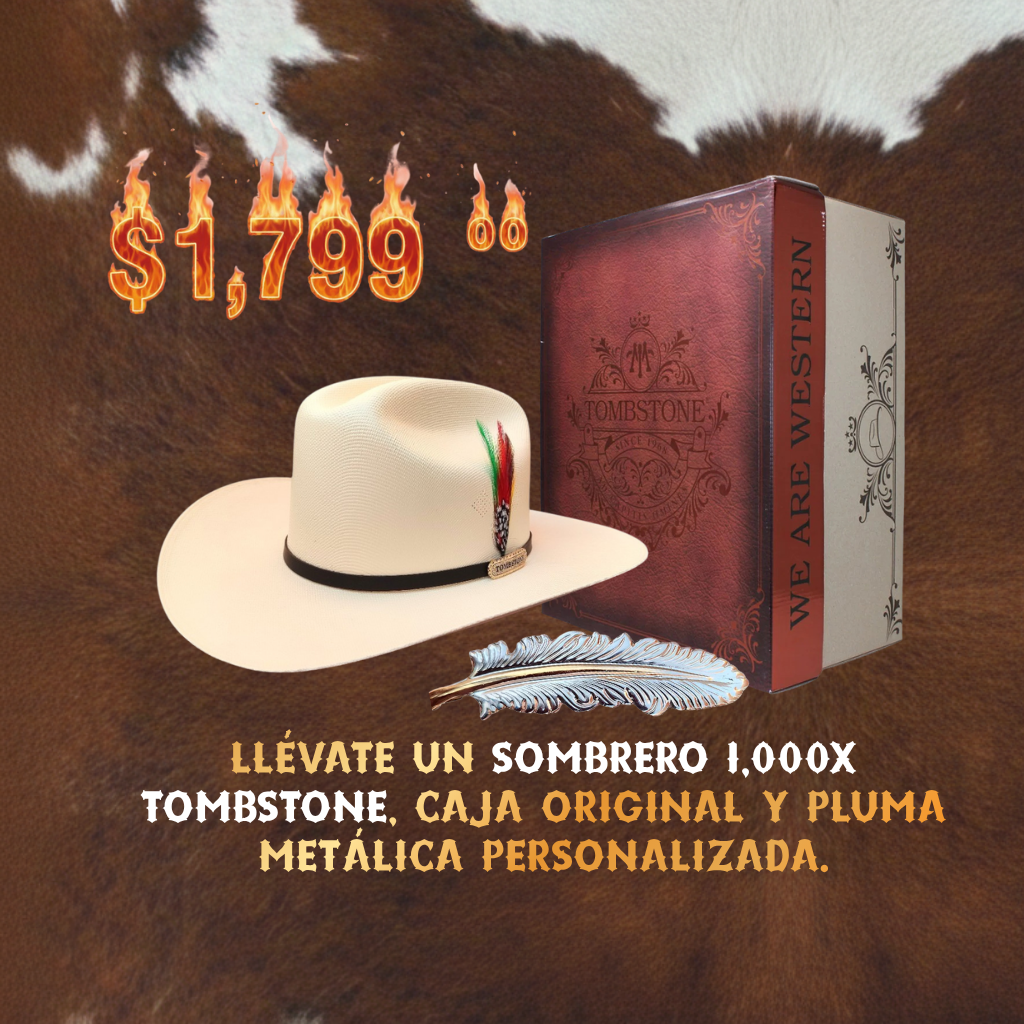 Paquete Buen Fin-West1