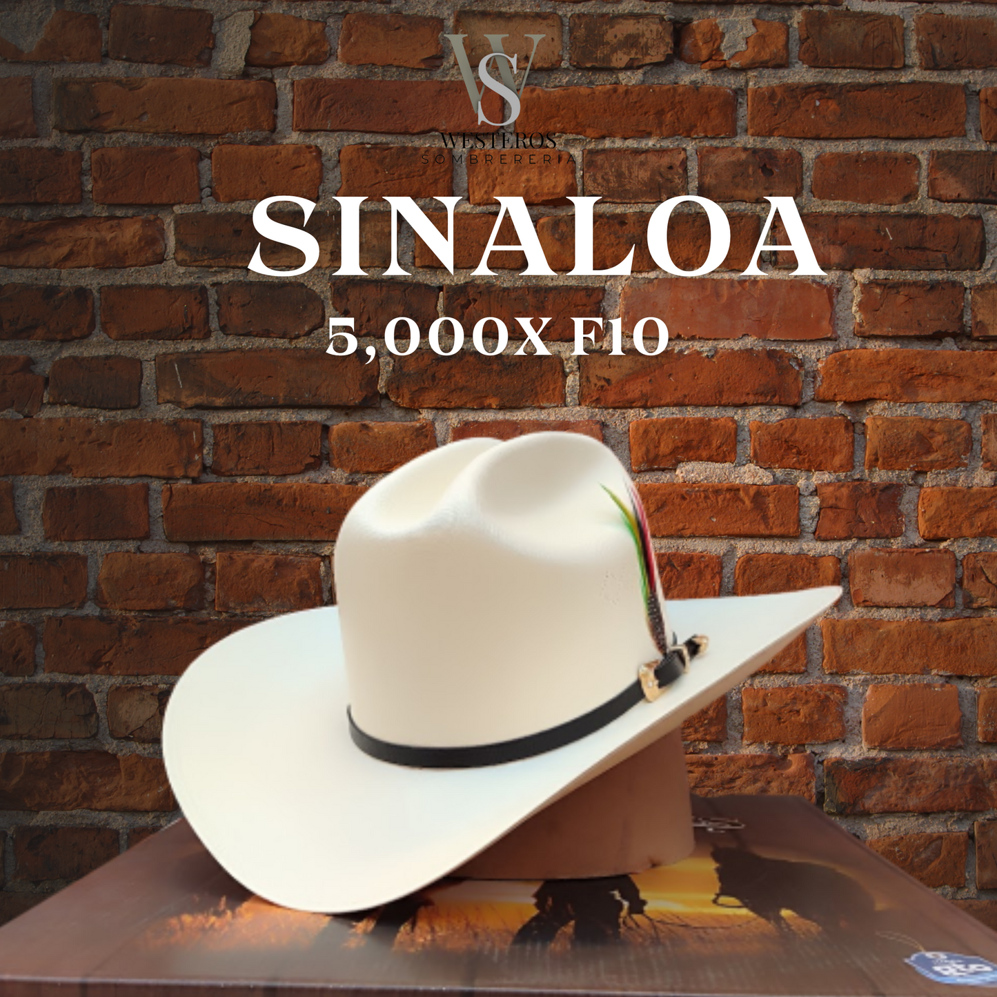 5000X SINALOA TOQUILLA NEGRA