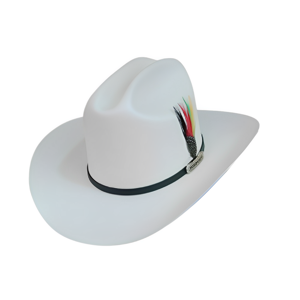 5000X JOHNSON TOQUILLA PLACA TOMBSTONE