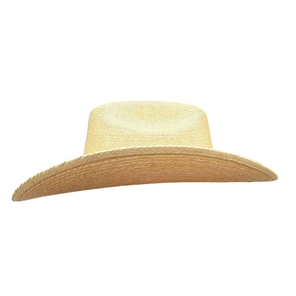 Sombrero Sahuayo Palma Fina Auténtico Artesanal Michoacan