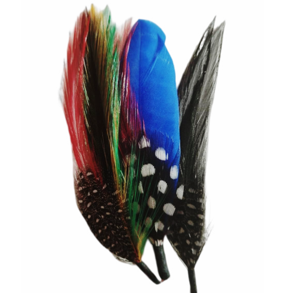 KIT DE PLUMAS CLÁSICAS