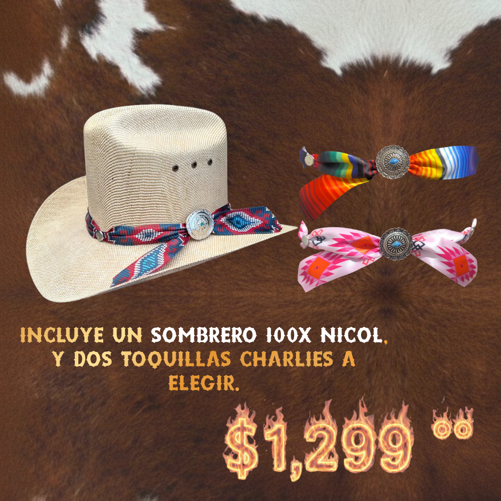 Paquete Buen Fin-West2