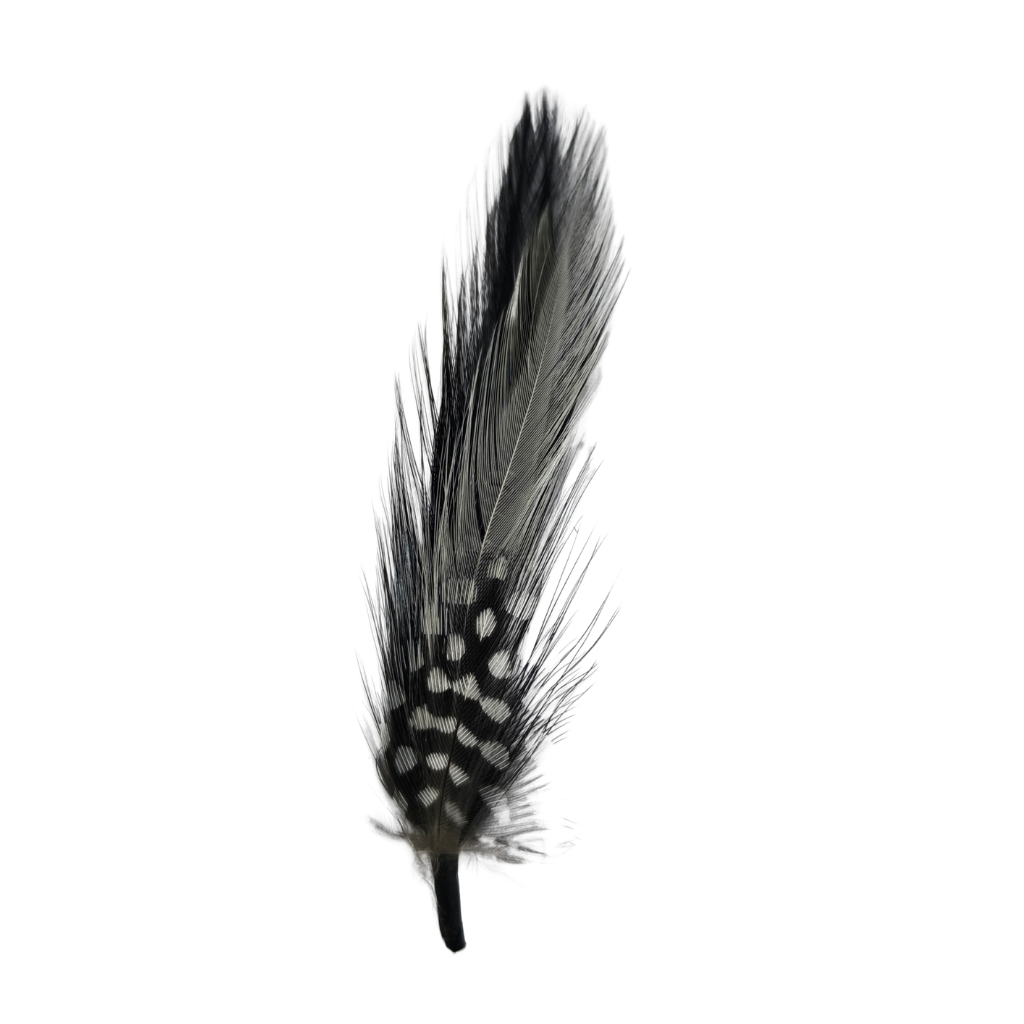 Pluma PC3 Clásica