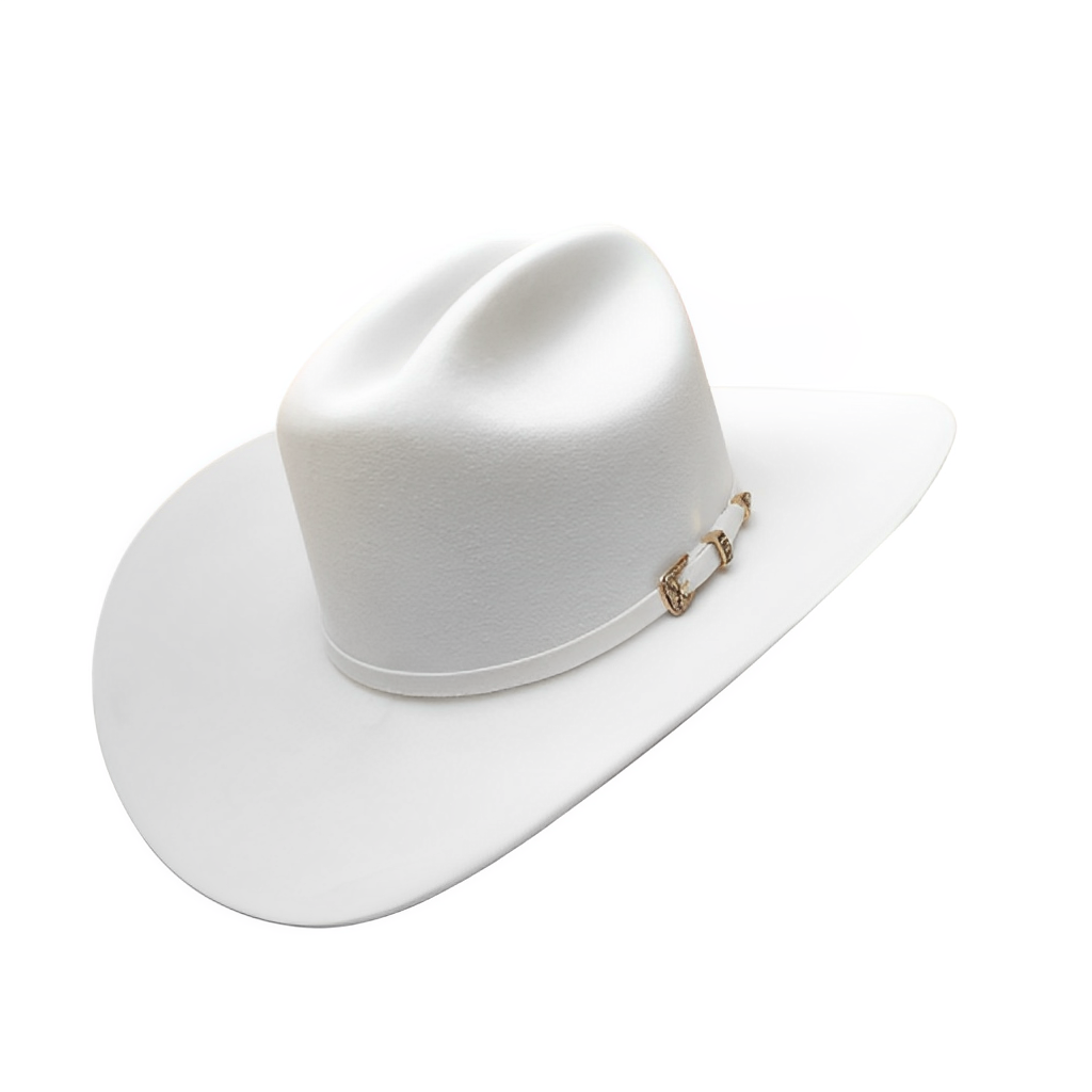 500X CHAPARRAL RANGER