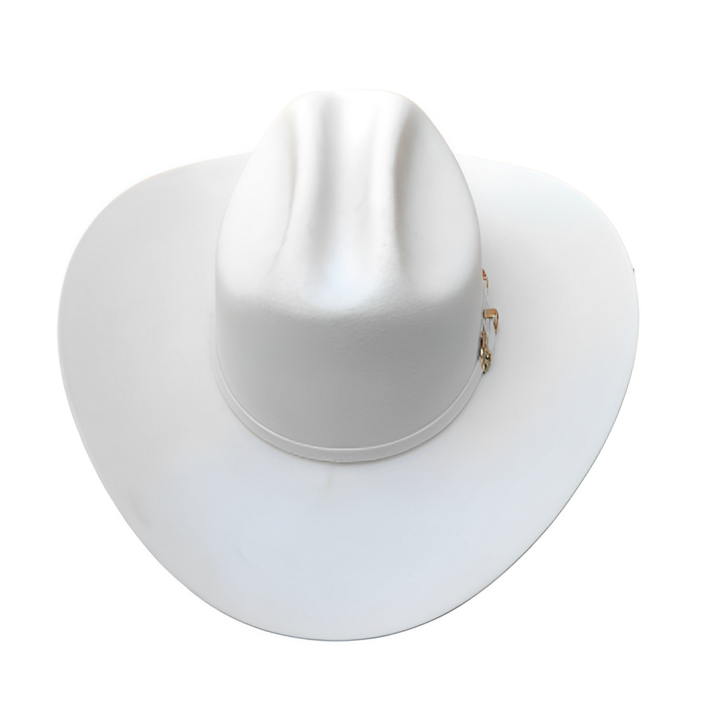 500X CHAPARRAL RANGER