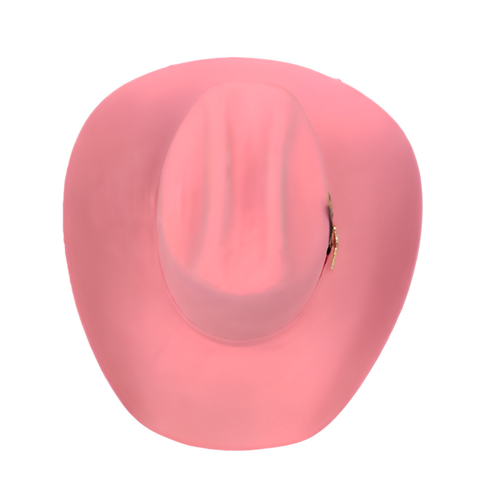 20X MAVERICK ROSA