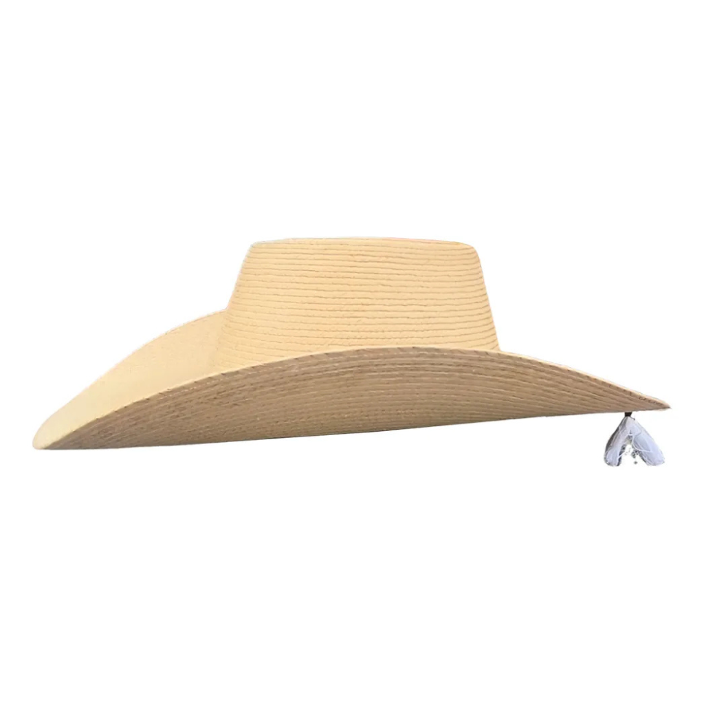 Sombrero Huetameño Calentano Tlapehuala Astilla Michoacano Extra Fino
