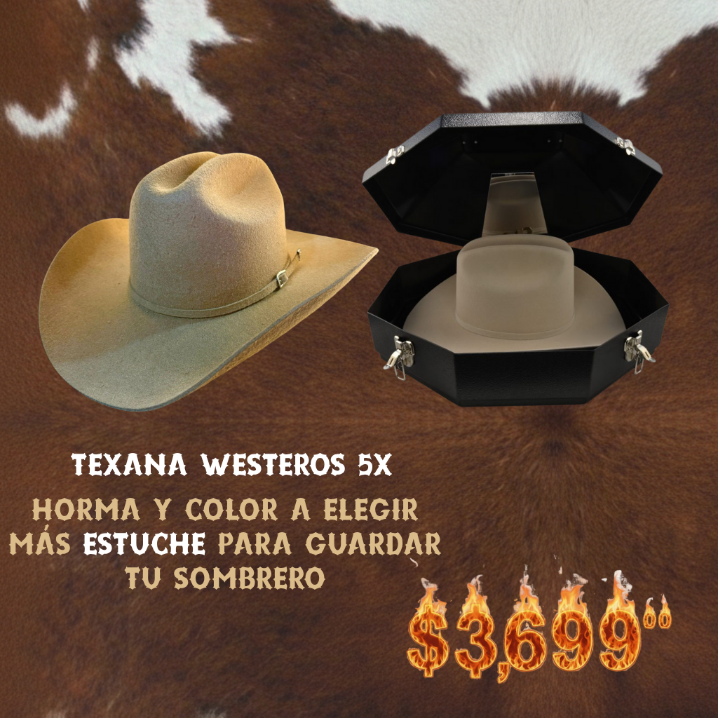 Paquete Buen Fin-West3