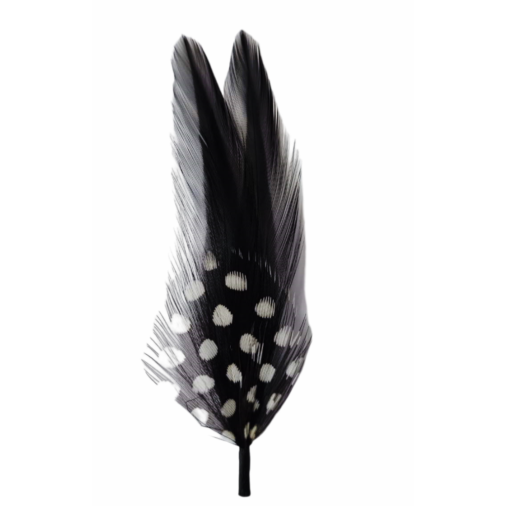 PLUMA SW3-10