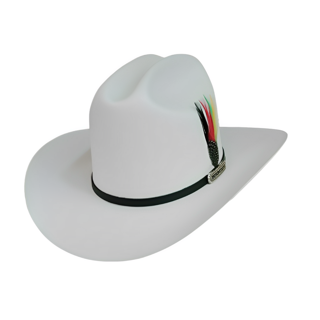 5000X JOHNSON TOQUILLA PLACA TOMBSTONE