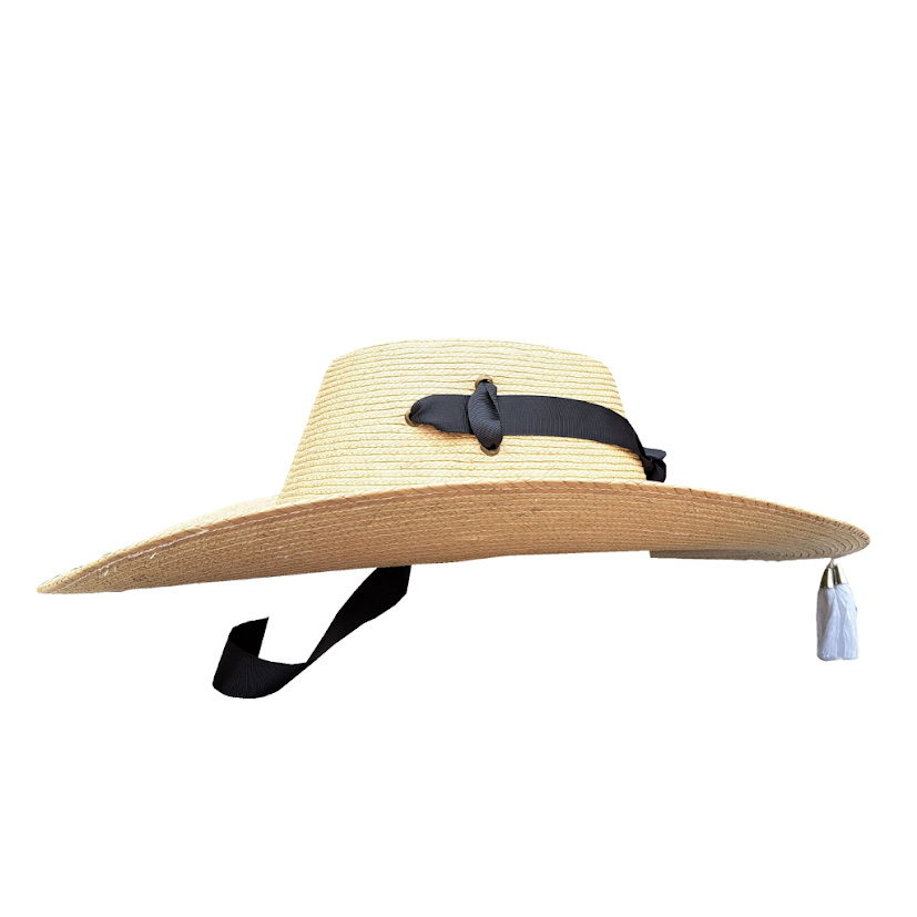 Sombrero Huetameño Calentano Tlapehuala Astilla Michoacano Trenza Palma Extra Fina
