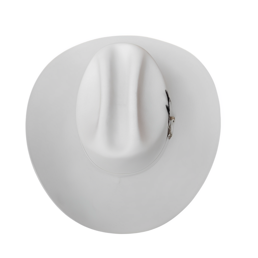 500X CHAPARRAL RANGER