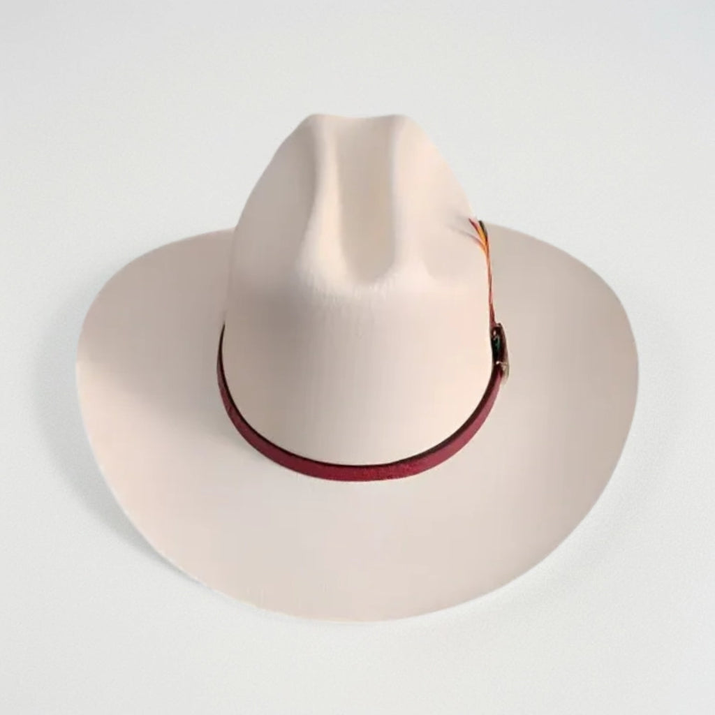 1000X JOHNSON PLACA TOMBSTONE COÑAG PLUMA STETSON