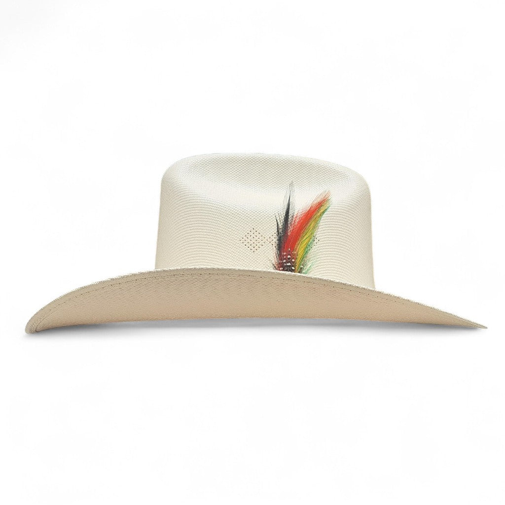 1000X CHAPARRAL PLACA TOMBSTONE PLUMA STETSON