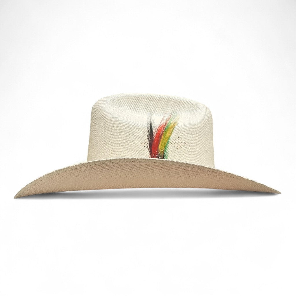1000X CHAPARRAL PLACA TOMBSTONE PLUMA STETSON