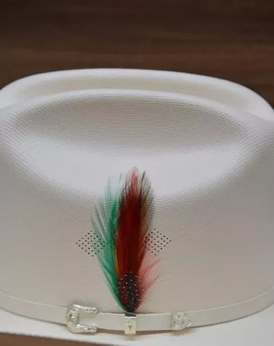 Pluma PC1 Clásica Stetson