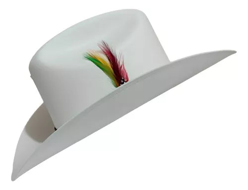 Sombrero stetson outlet 5000x