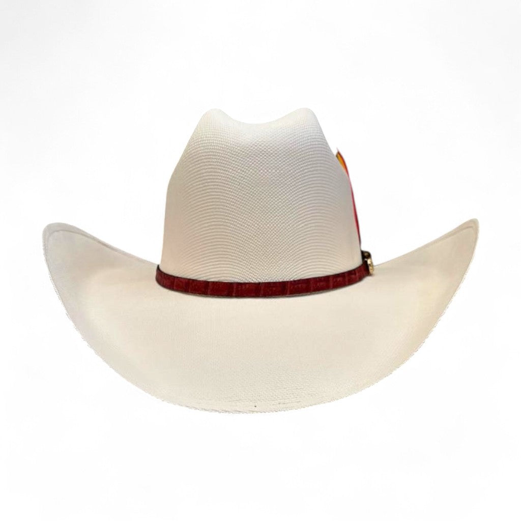 1000X ESTE OESTE TOQUILLA PLACA TOMBSTONE PLUMA STETSON