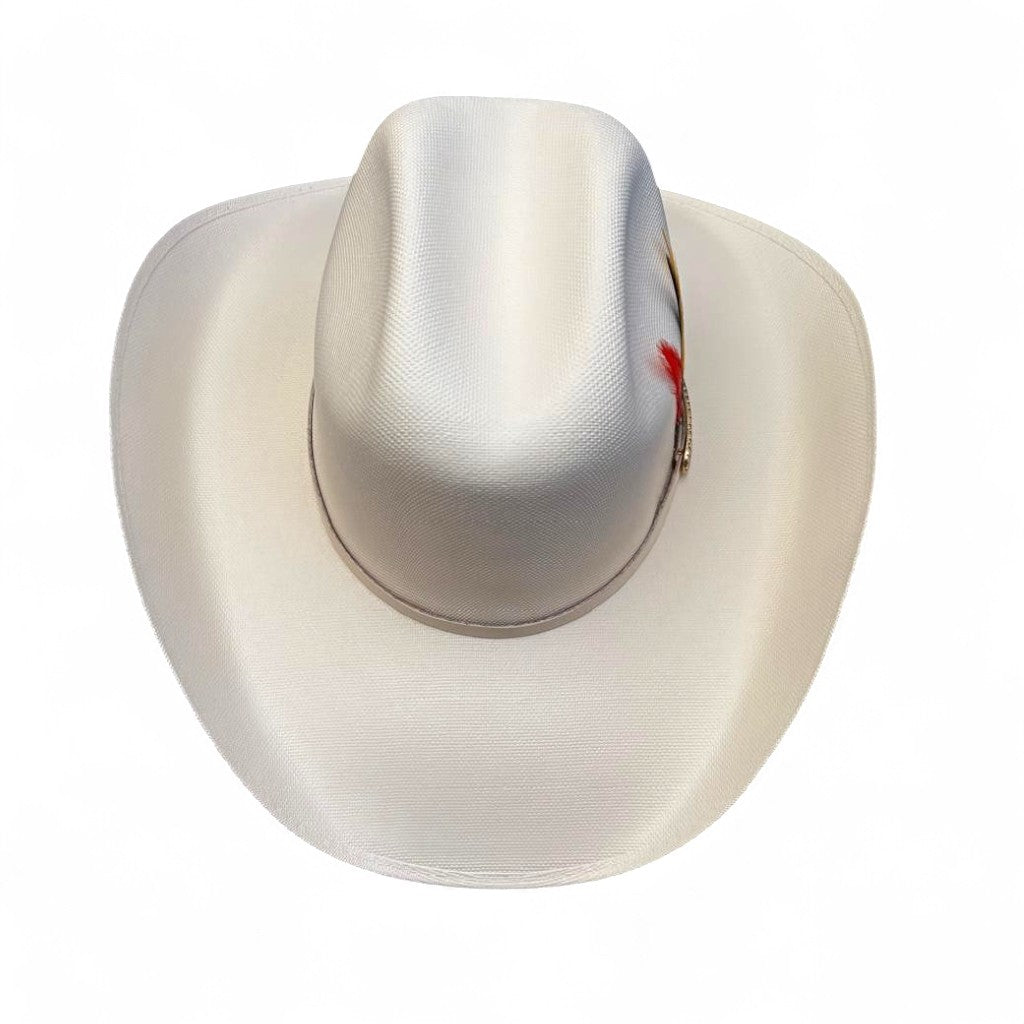 1000X ESTE OESTE TOQUILLA PLACA TOMBSTONE PLUMA STETSON