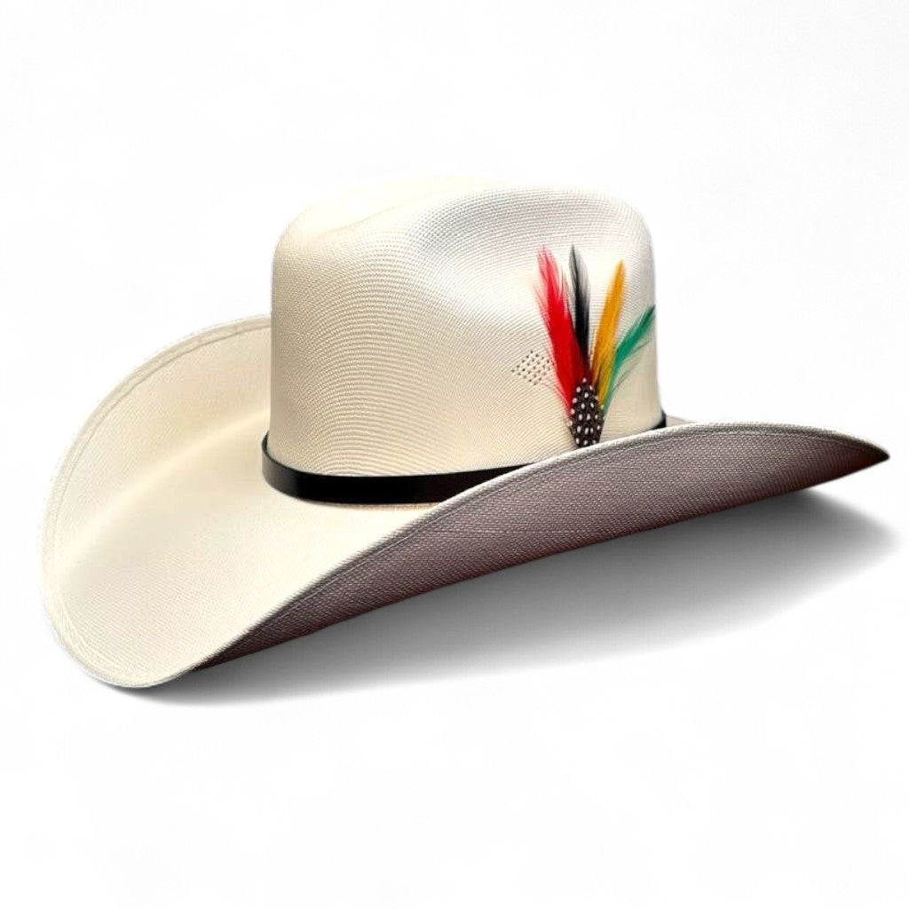 1000X ESTE OESTE TOQUILLA PLACA TOMBSTONE PLUMA STETSON