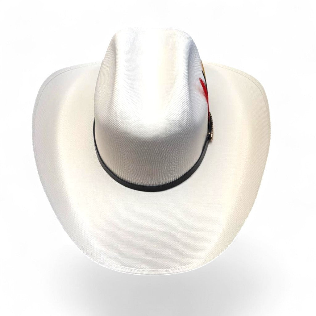 1000X ESTE OESTE TOQUILLA PLACA TOMBSTONE PLUMA STETSON