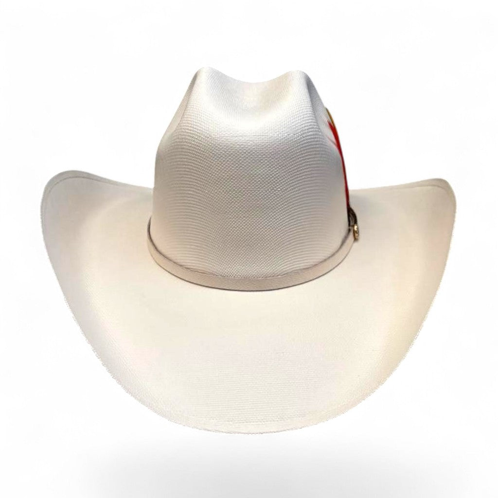 1000X ESTE OESTE TOQUILLA PLACA TOMBSTONE PLUMA STETSON