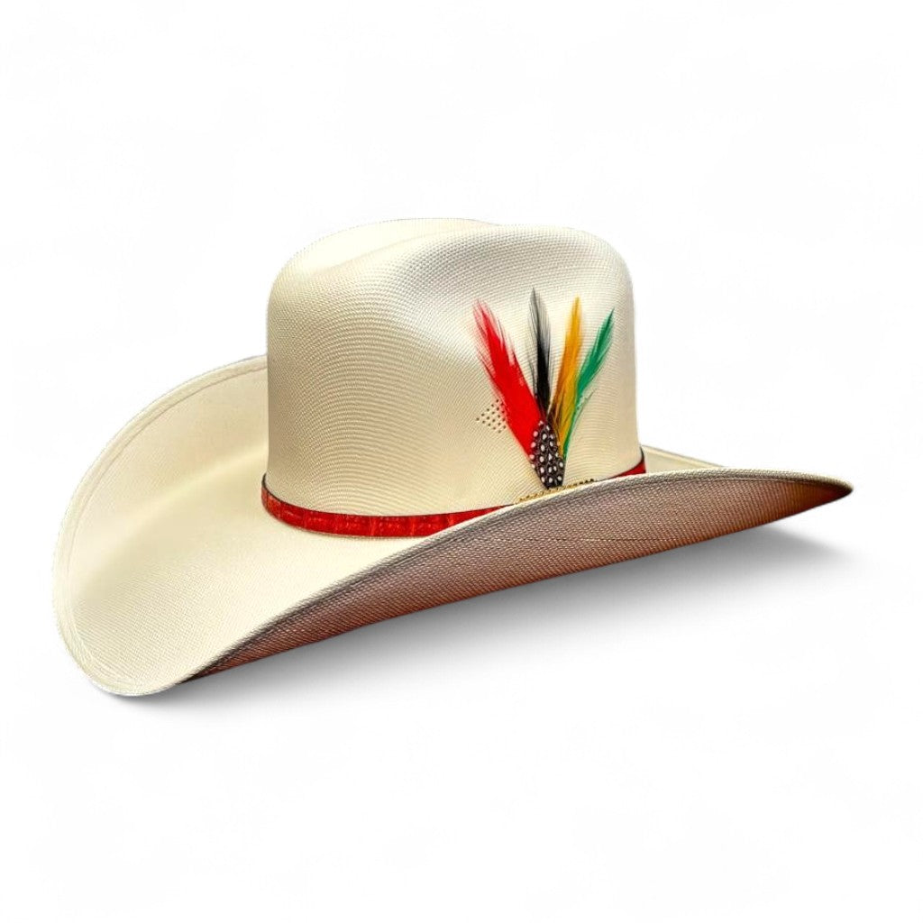 1000X ESTE OESTE TOQUILLA PLACA TOMBSTONE PLUMA STETSON