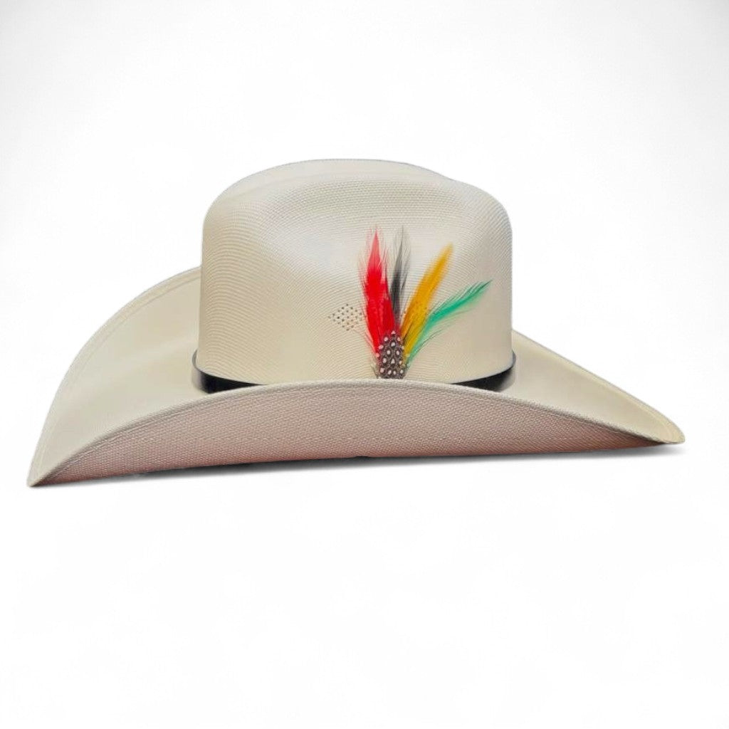 1000X ESTE OESTE TOQUILLA PLACA TOMBSTONE PLUMA STETSON
