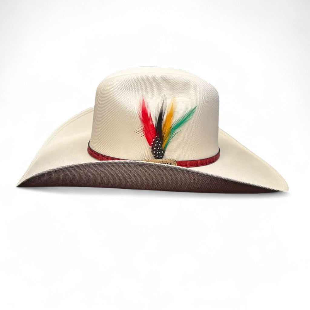 1000X ESTE OESTE TOQUILLA PLACA TOMBSTONE PLUMA STETSON