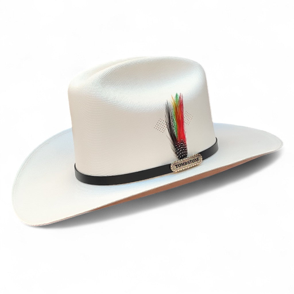 1000X JOHNSON PLACA TOMBSTONE Y PLUMA STETSON