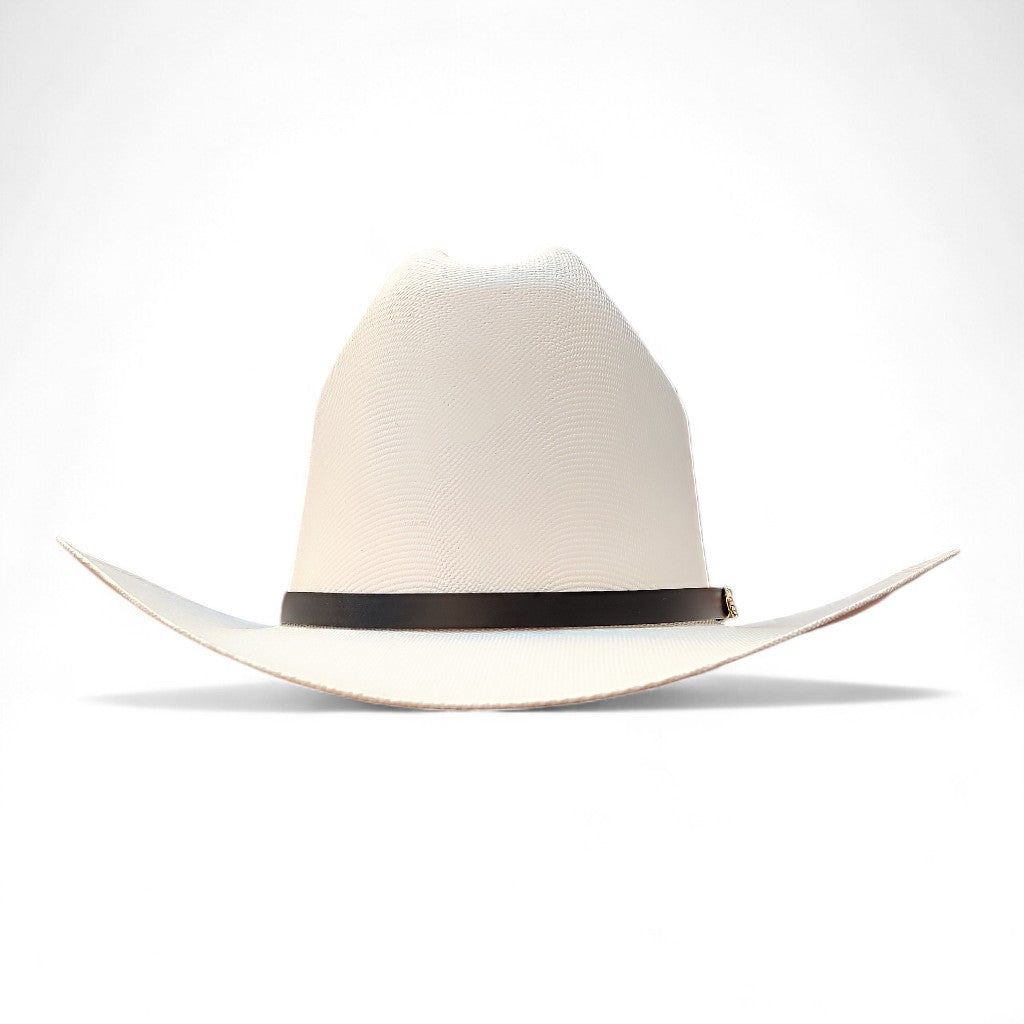 1000X JOHNSON PLACA TOMBSTONE Y PLUMA STETSON