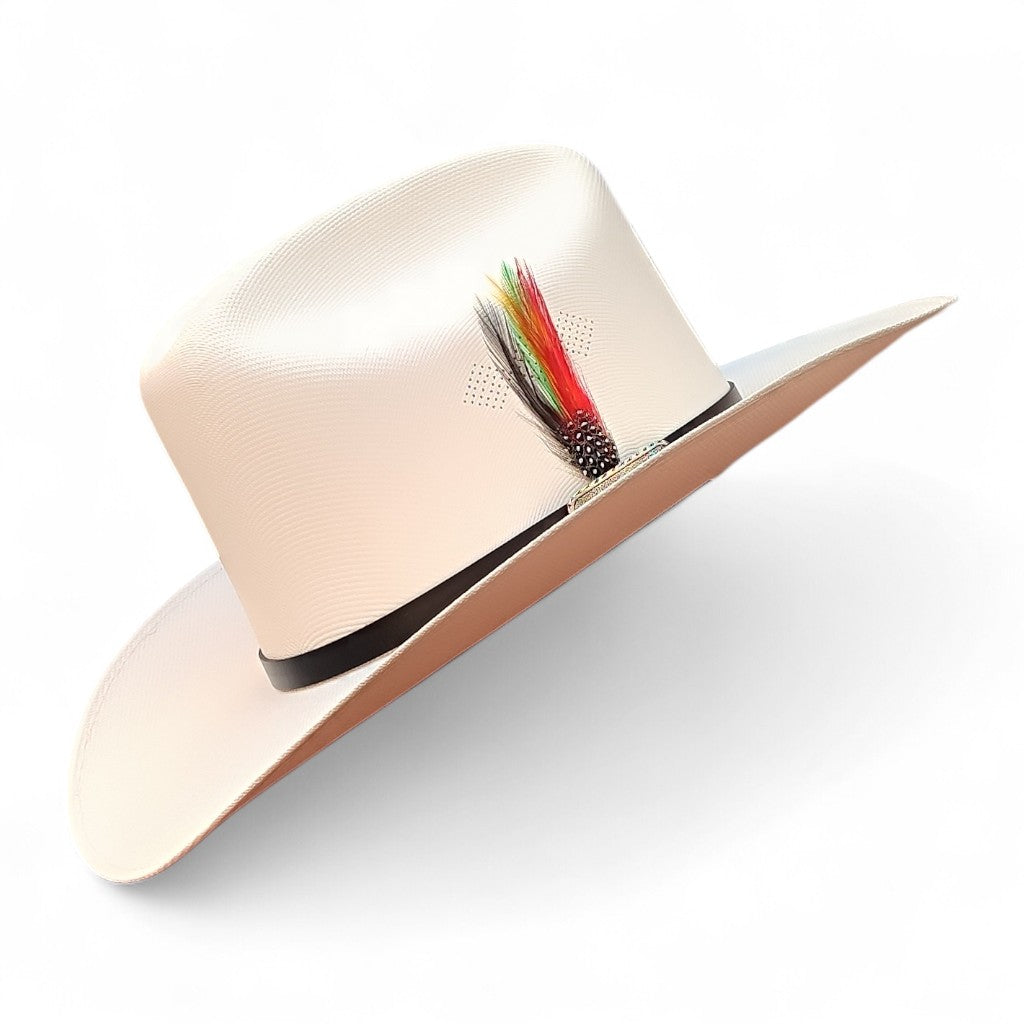 1000X JOHNSON PLACA TOMBSTONE Y PLUMA STETSON