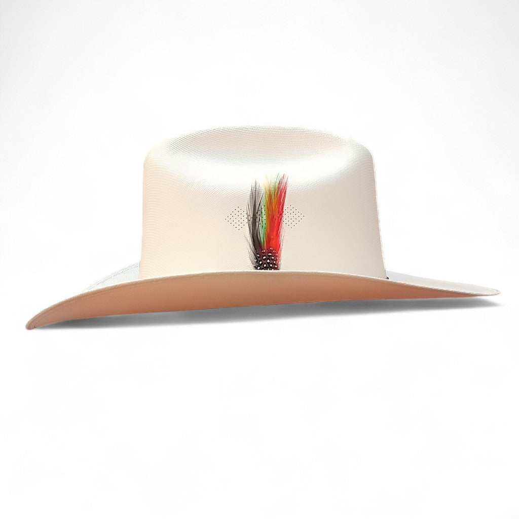 1000X JOHNSON PLACA TOMBSTONE Y PLUMA STETSON