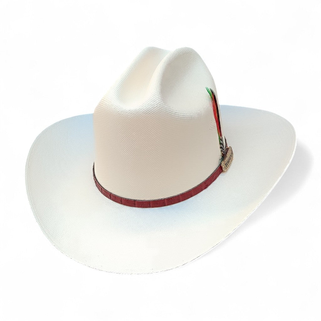 1000X JOHNSON PLACA TOMBSTONE COÑAG PLUMA STETSON