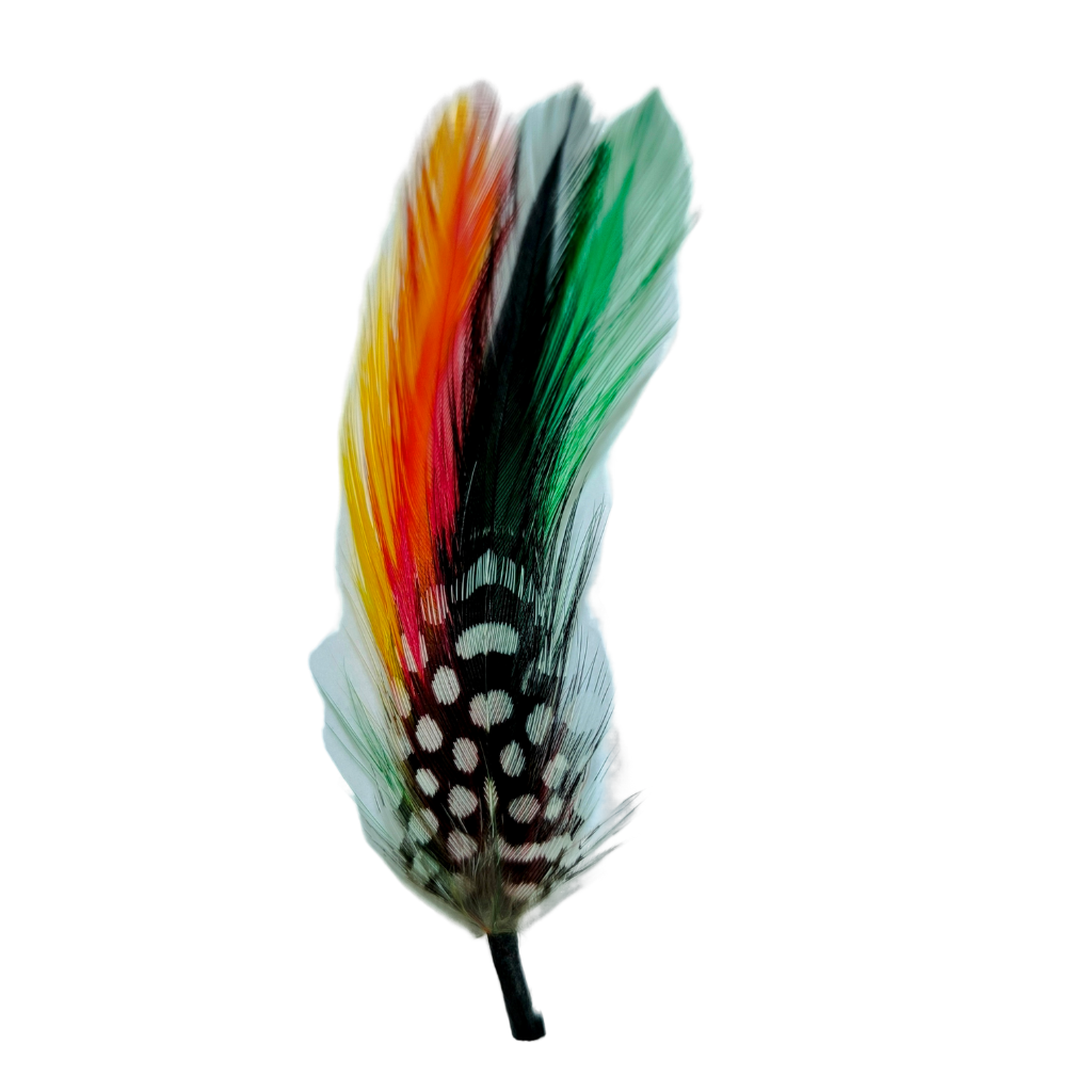 Pluma PC1 Clásica Stetson