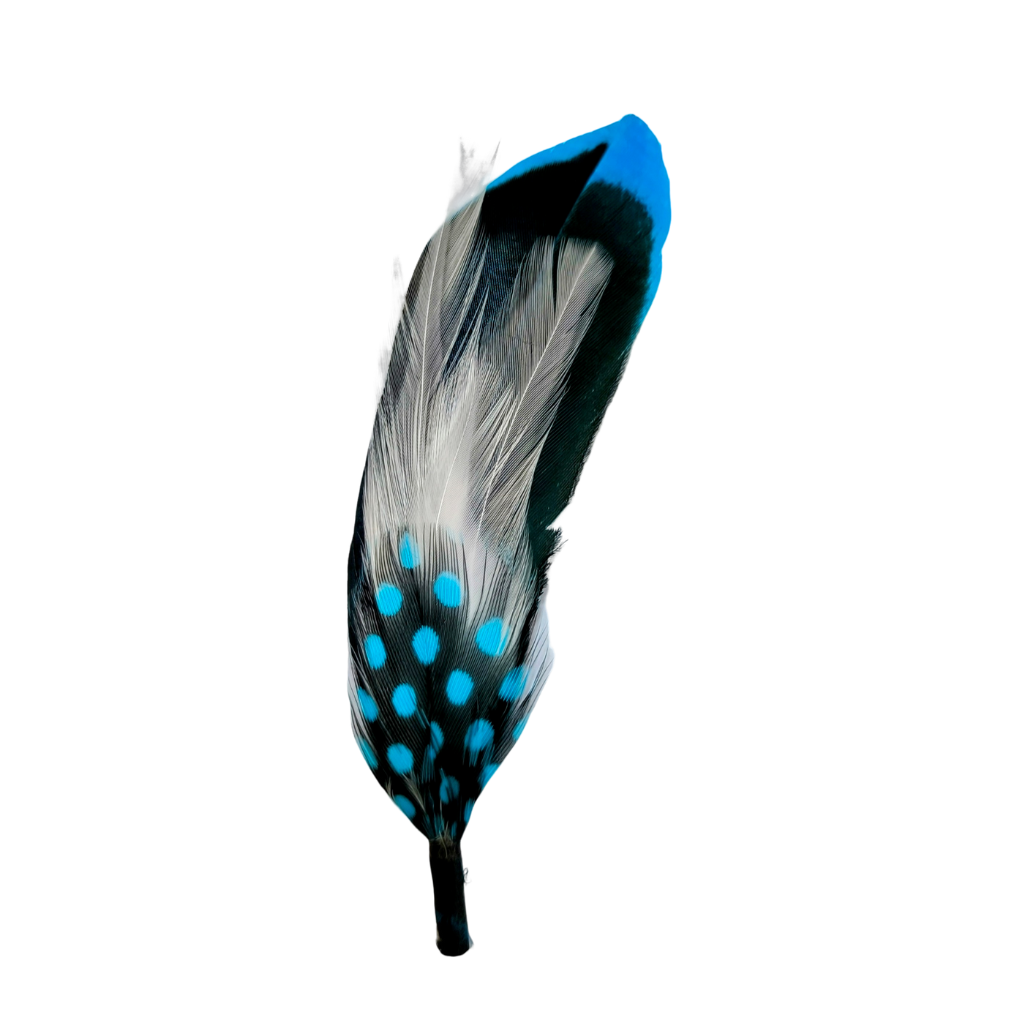 Pluma PP2-9 Premium