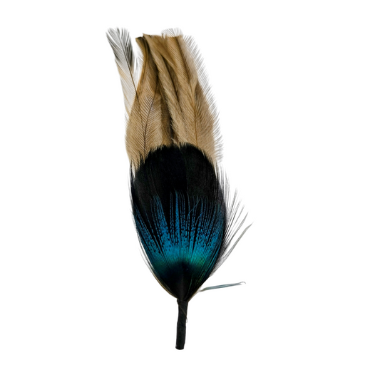 Pluma PRE4 Cenote Azul Reales