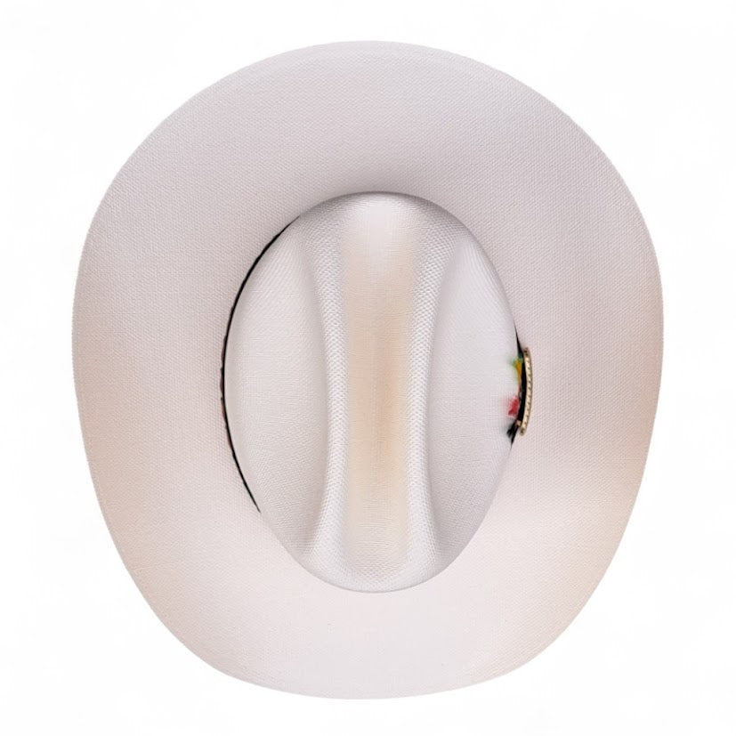 1000X JOHNSON PLACA TOMBSTONE Y PLUMA STETSON