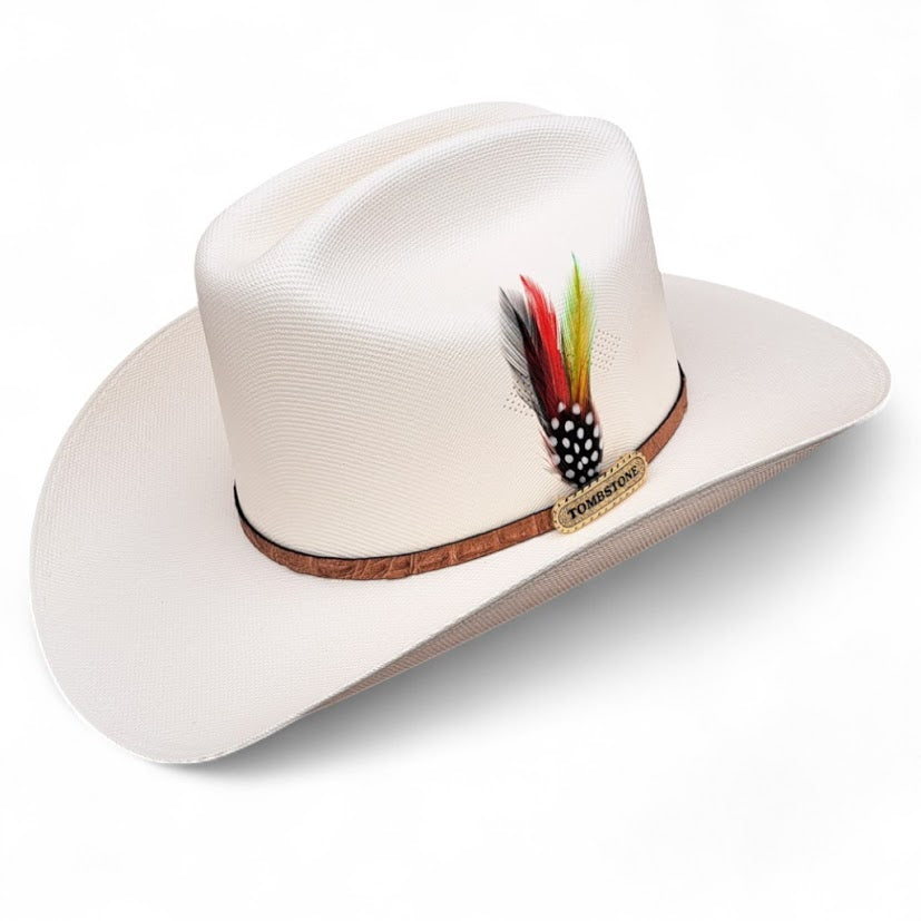 1000X JOHNSON PLACA TOMBSTONE Y PLUMA STETSON