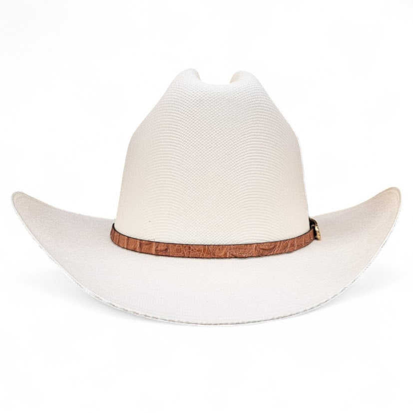 1000X JOHNSON PLACA TOMBSTONE Y PLUMA STETSON
