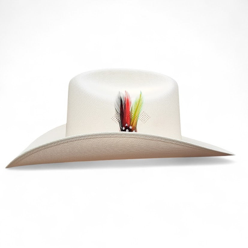 1000X JOHNSON PLACA TOMBSTONE Y PLUMA STETSON