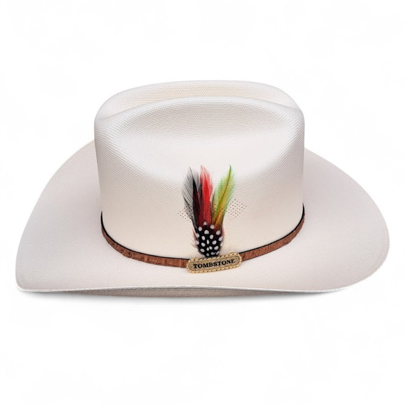 1000X JOHNSON PLACA TOMBSTONE Y PLUMA STETSON