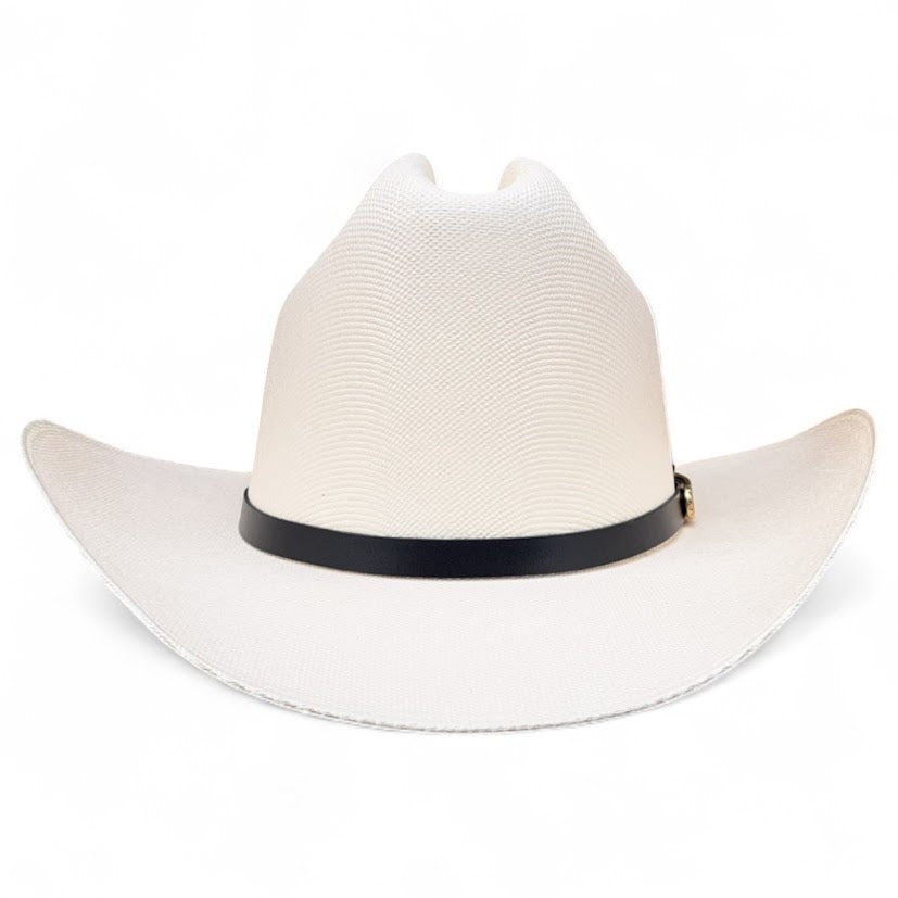 1000X JOHNSON PLACA TOMBSTONE Y PLUMA STETSON
