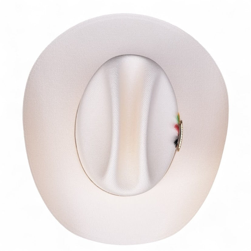 1000X JOHNSON PLACA TOMBSTONE Y PLUMA STETSON