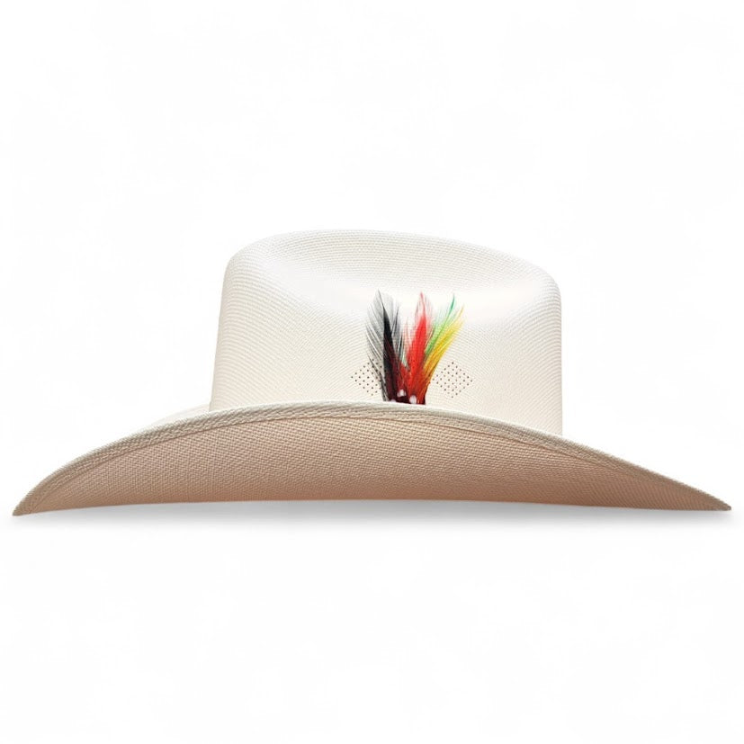 1000X JOHNSON PLACA TOMBSTONE Y PLUMA STETSON