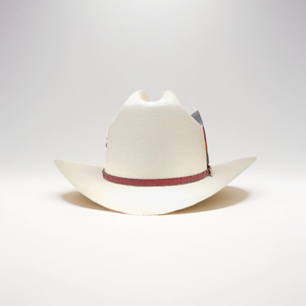 100X CHAPARRAL LAQUEADO PLACA NICOL HATS TOQUILLA COÑAG