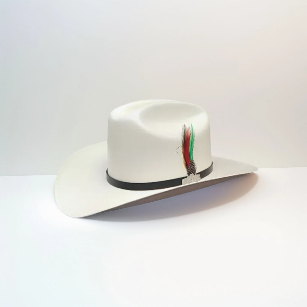 100X CHAPARRAL LAQUEADO PLACA NICOL HATS TOQUILLA NEGRO